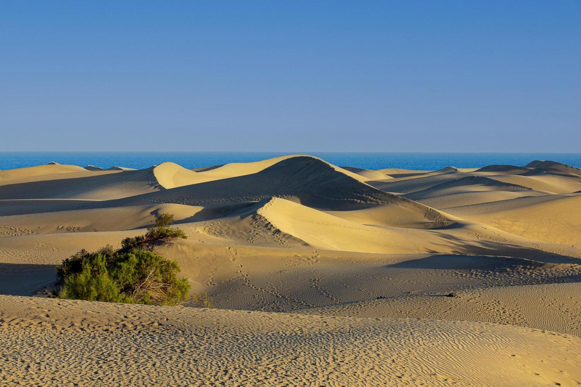 Kasbah 1 Holiday Home By Pride Holiday Rentals Maspalomas  Luaran gambar